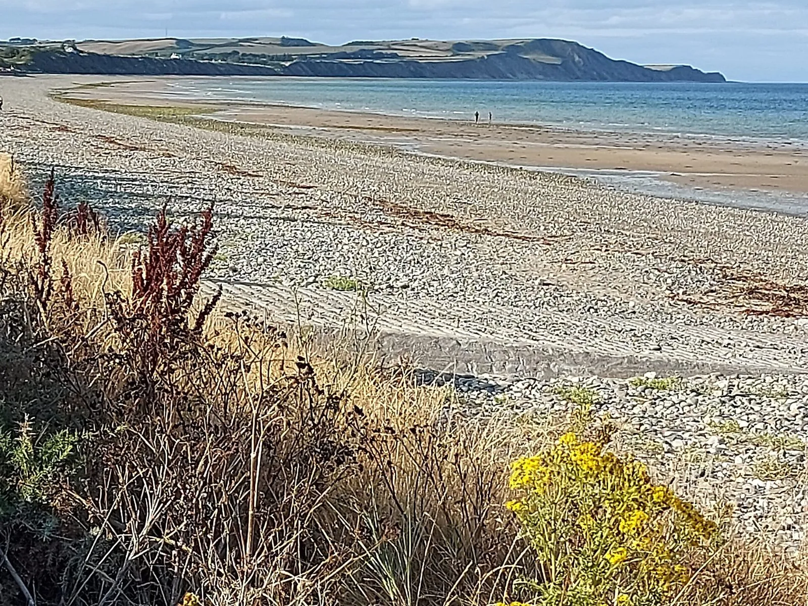 A long beach of sand and pebbles curving away along a calm bay towards hills and a headland