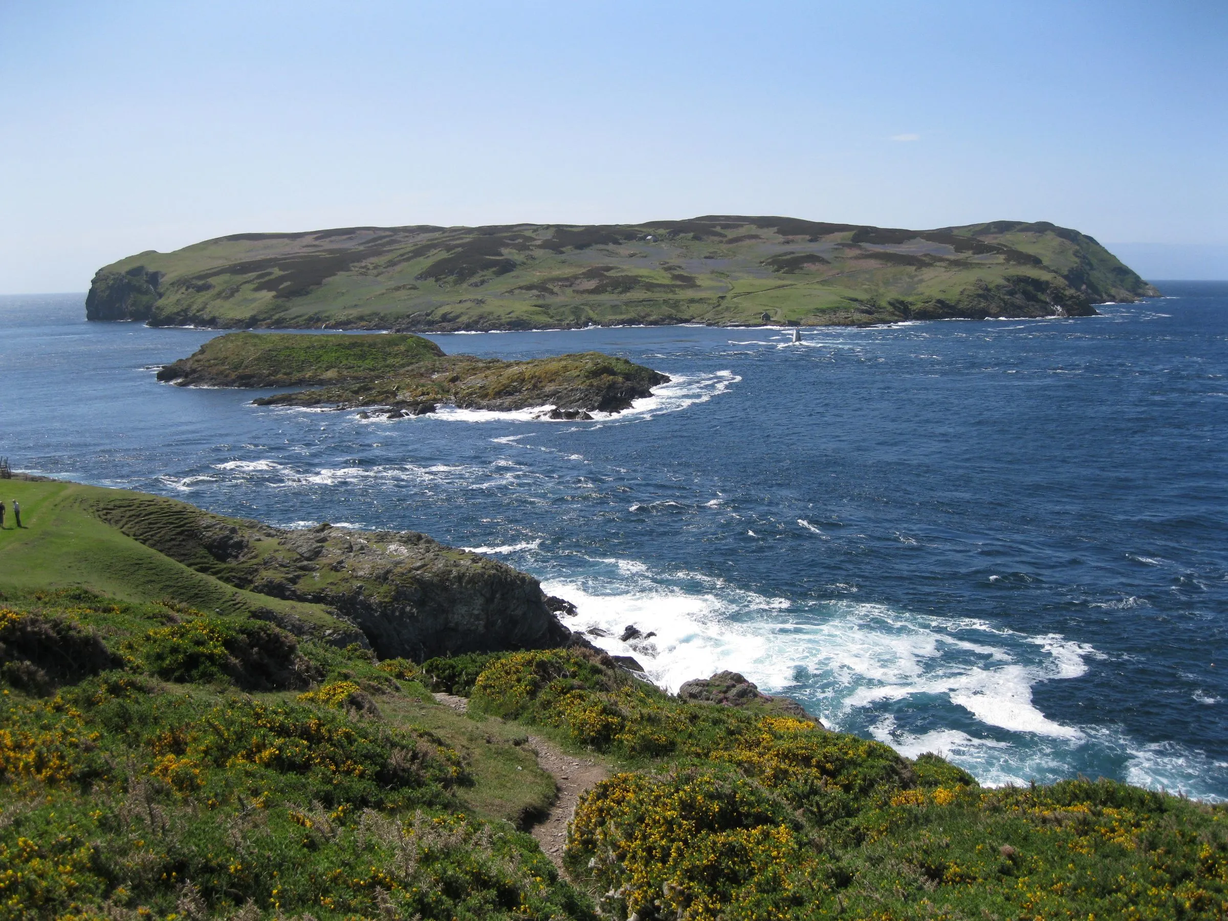 The Calf of Man across the blue water of Calf Sound, with the rocky islet of Kitterland in front and gorse on the headland below