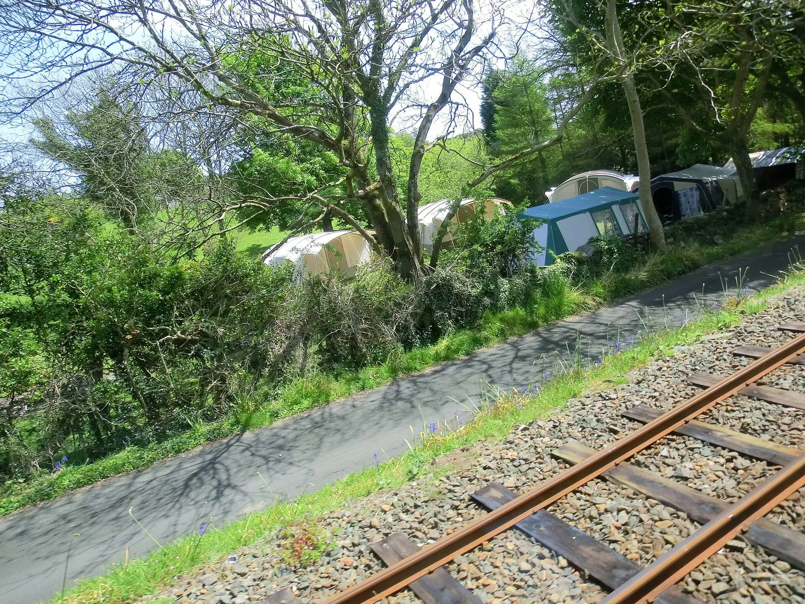 Tents and caravans pitched under trees beside the Manx Electric Railway line near Dhoon Glen