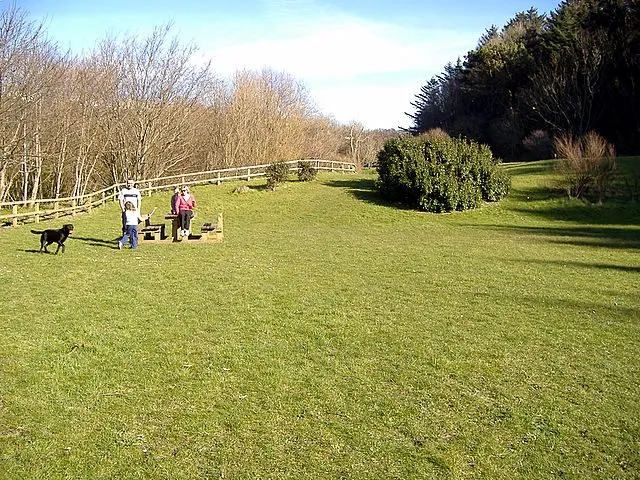 A grassy camping field in Glen Wyllin with a family at a picnic bench and a black dog, backed by bare trees and conifers