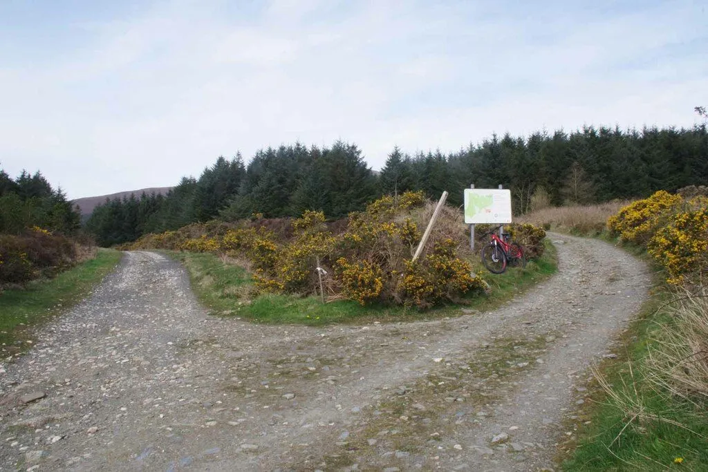 A wide gravel track curving through gorse beside a conifer plantation, with an information board and a parked mountain bike