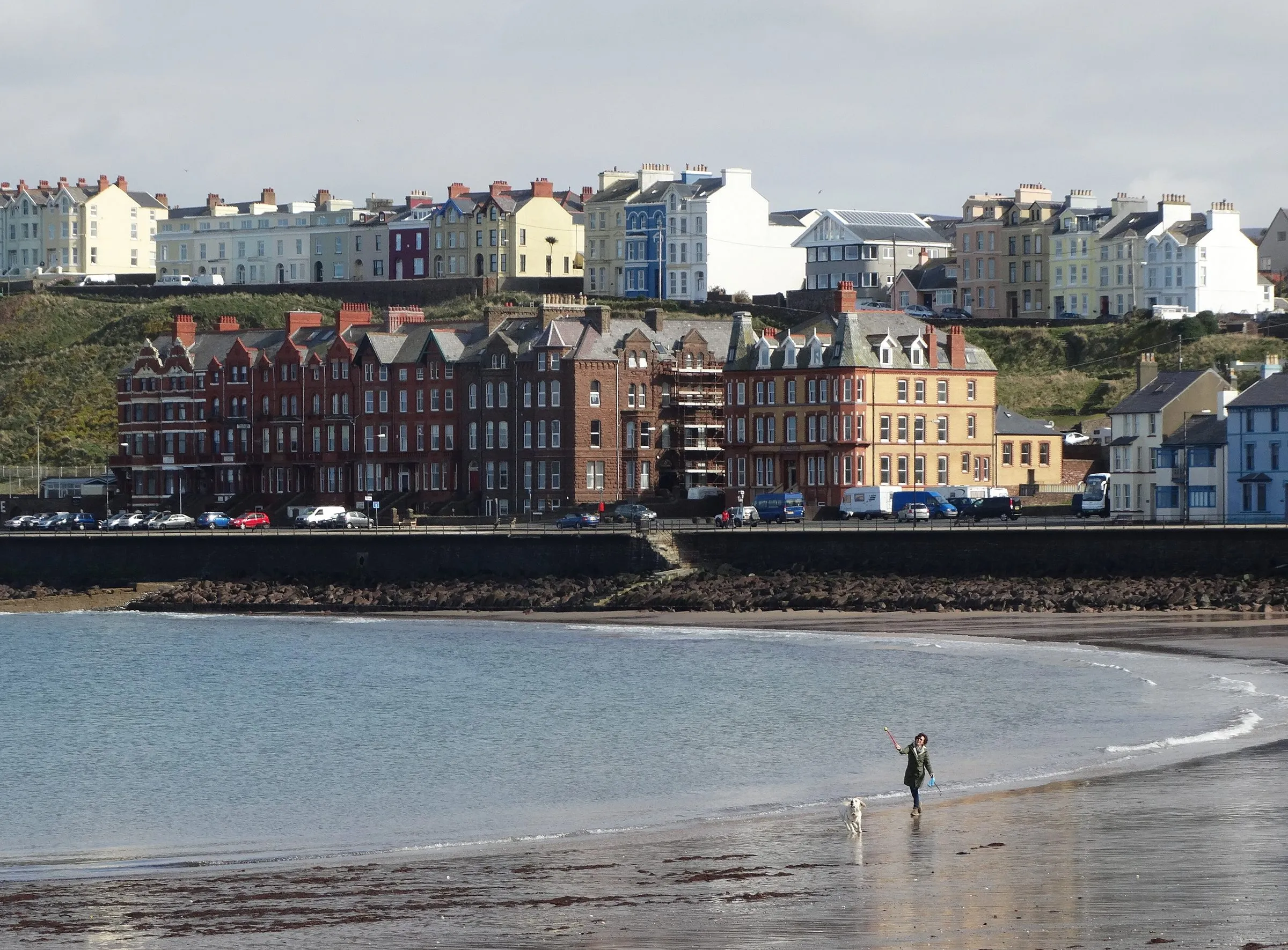 A woman throwing a ball for a small white dog on the wet sand of Peel beach, with the red-brick and painted terraces of the promenade behind