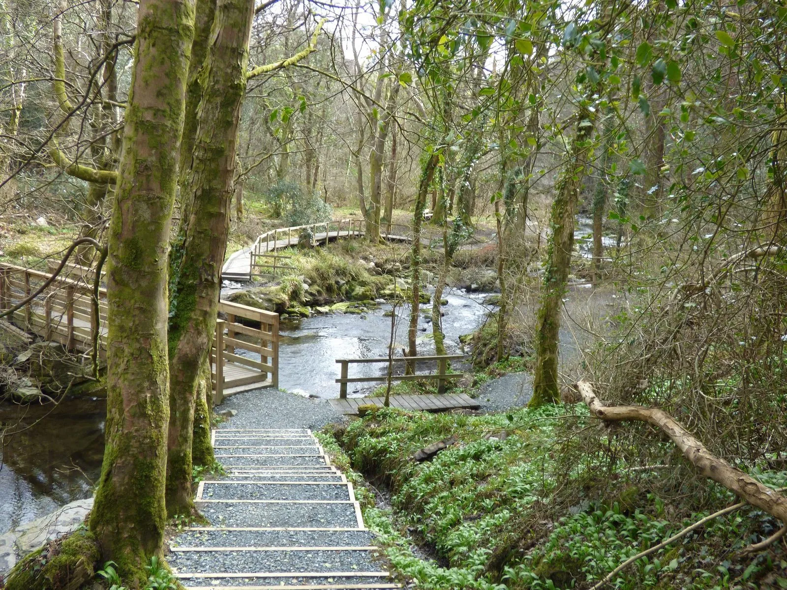 A gravel path with steps leading down to wooden boardwalks and footbridges beside a rocky stream in Ballaglass Glen