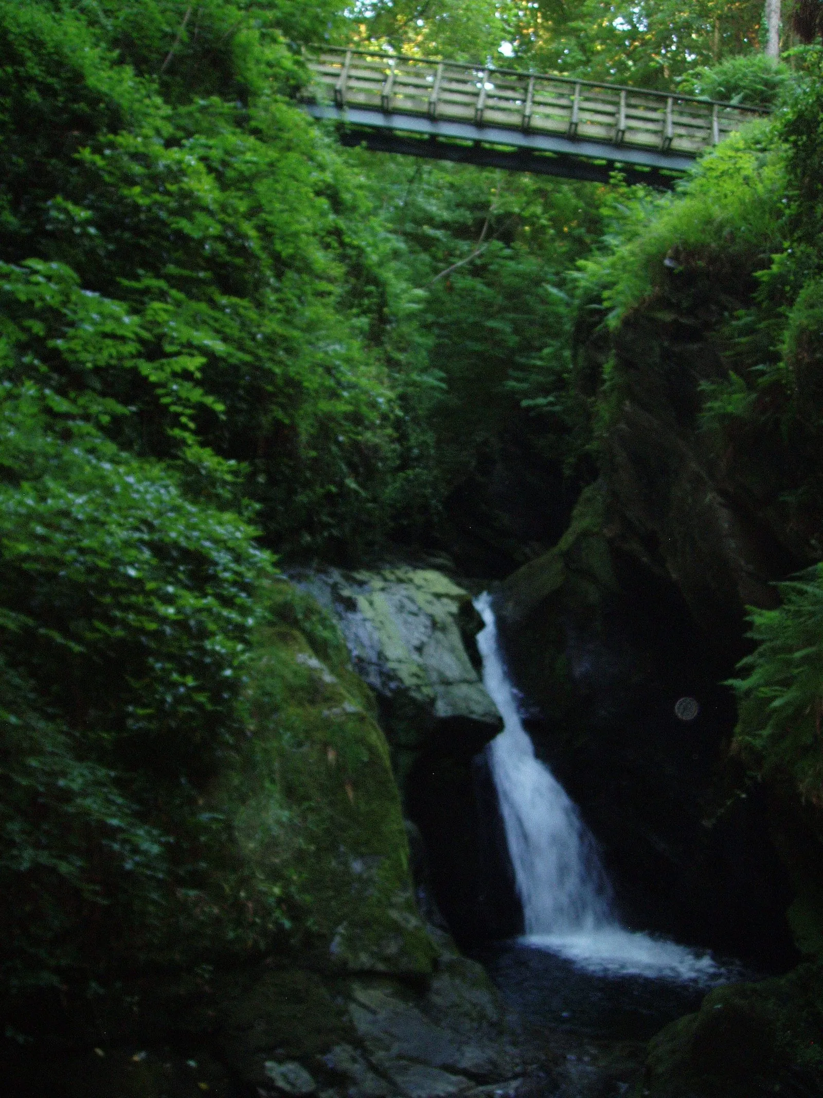 A narrow waterfall dropping into a dark pool in a fern-covered gorge, with a wooden footbridge crossing high above