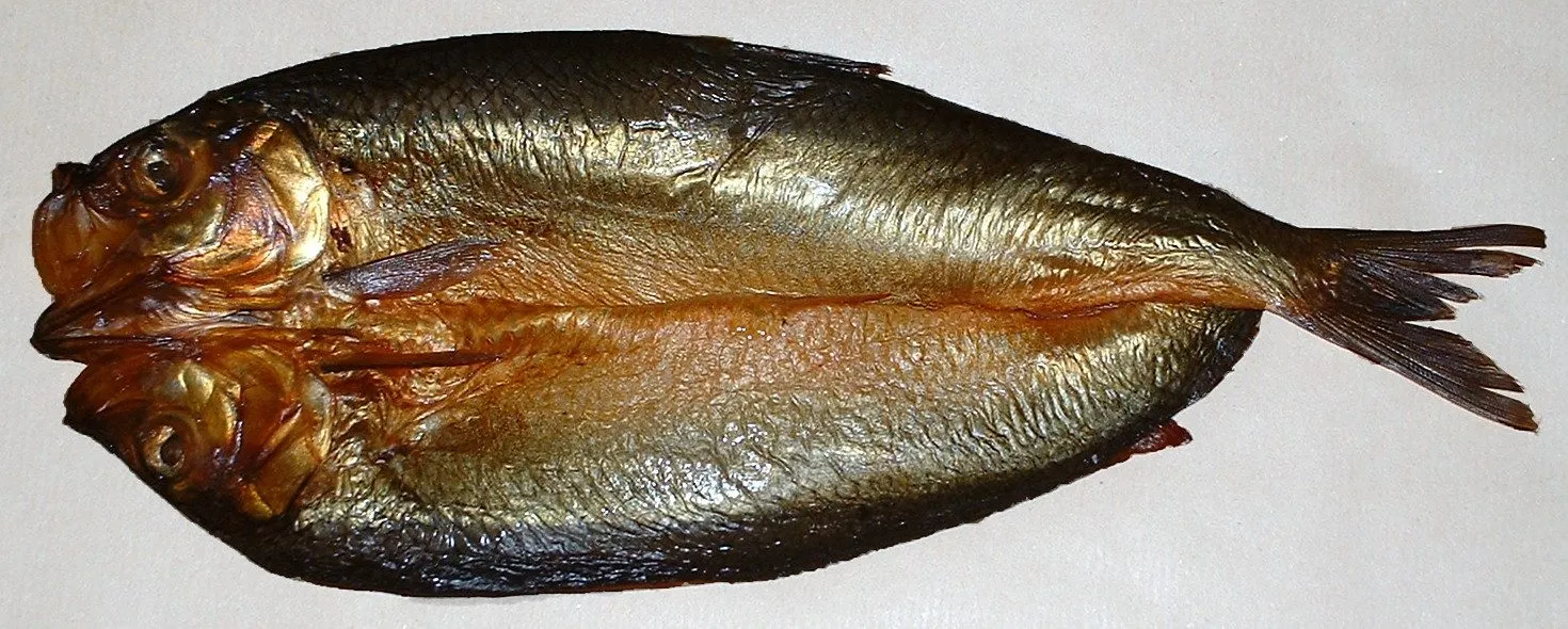 A whole kipper opened out flat, golden-brown and glossy, with the head split in two at one end and the tail at the other