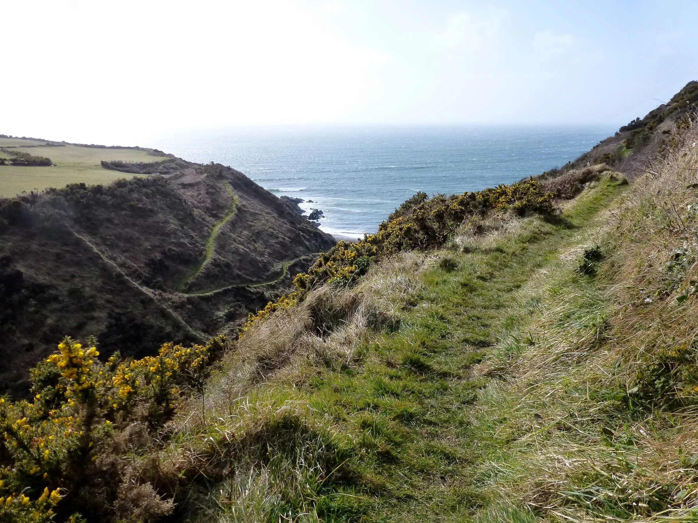 A narrow grassy path along a gorse-covered cliff edge above a rough blue sea, on the Isle of Man coastal path near Glen Maye
