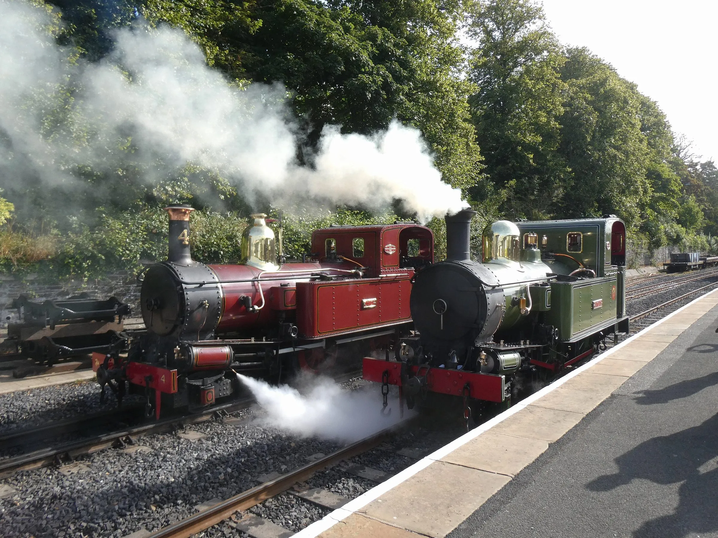 Two small Victorian tank engines, one red and one green, side by side in steam at Douglas station