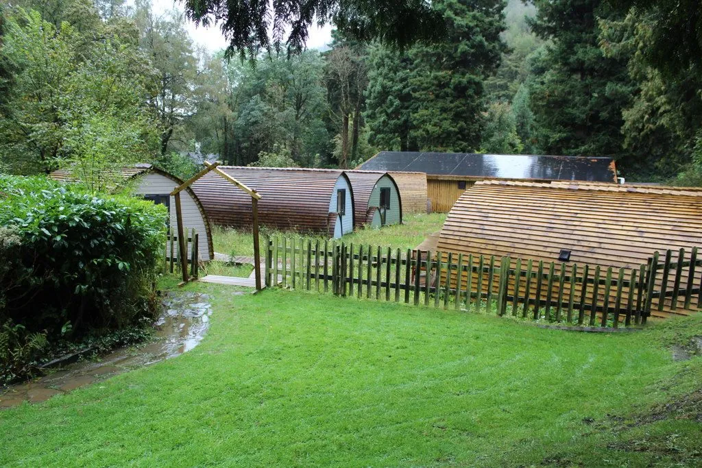 Wooden camping pods on a lawn among tall trees in Glen Helen, after rain