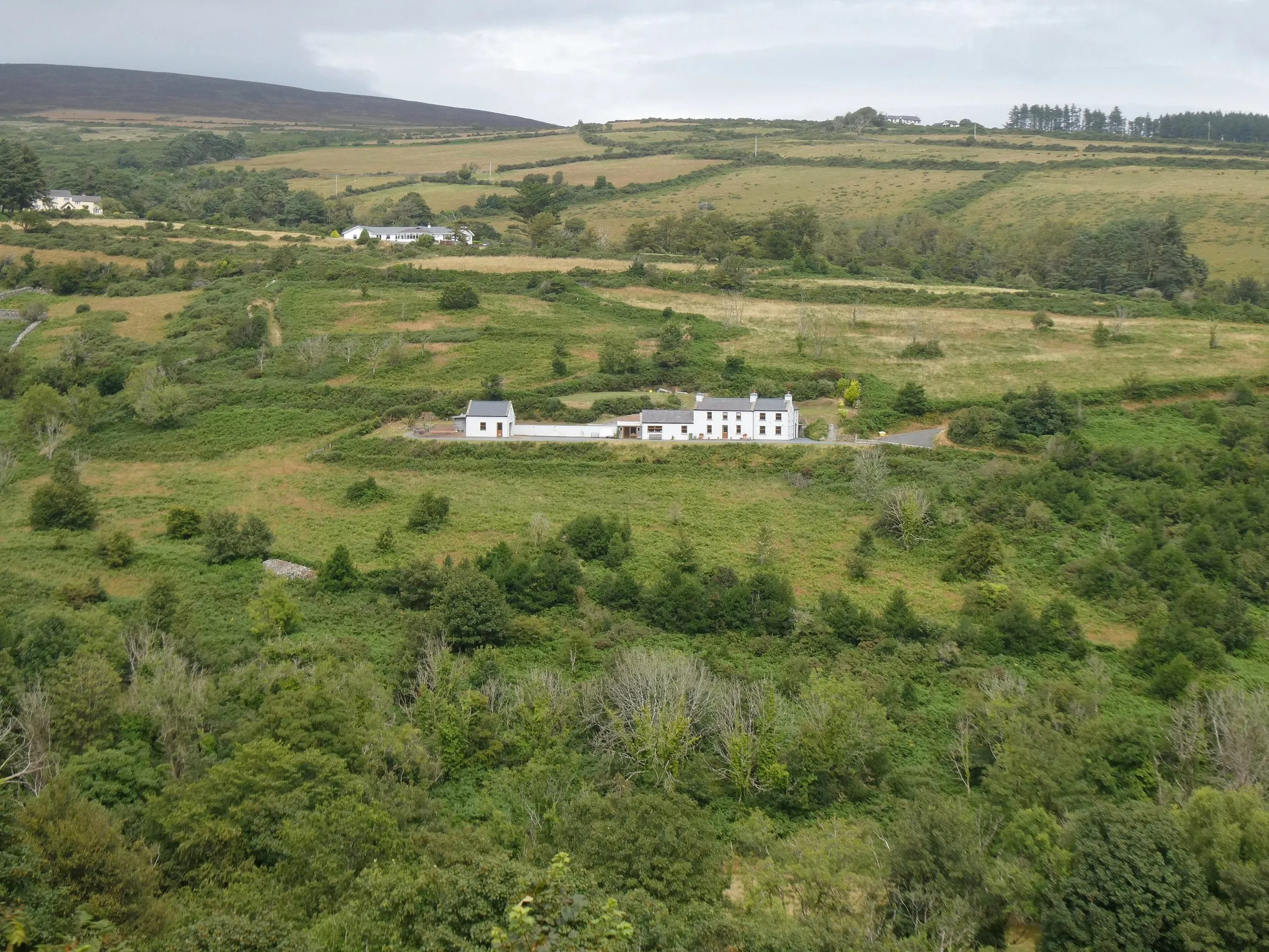 A white farmhouse and outbuildings in green fields below the hills near Laxey, with scrub and gorse in the foreground