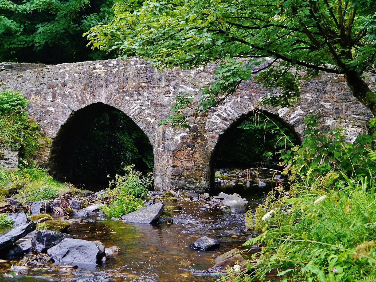 The medieval Monks’ Bridge, two low stone arches over a shallow rocky river, with ferns and trees overhanging it