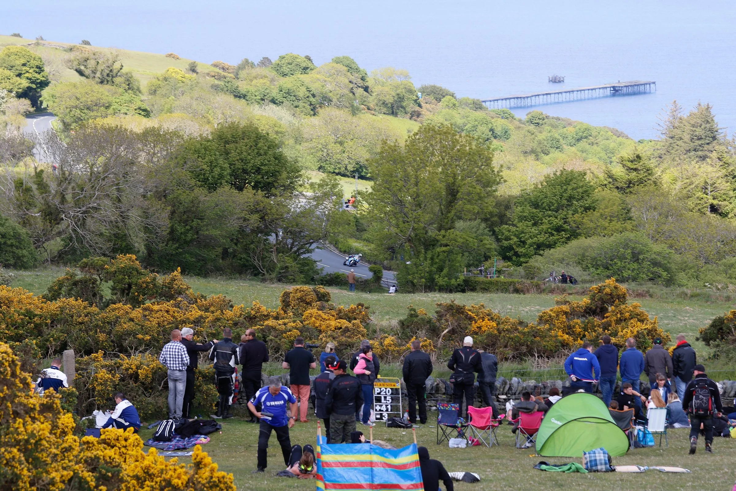 TT spectators on a grassy bank among yellow gorse above the Gooseneck, watching a bike on the road below with Ramsey Bay and the Queen's Pier behind