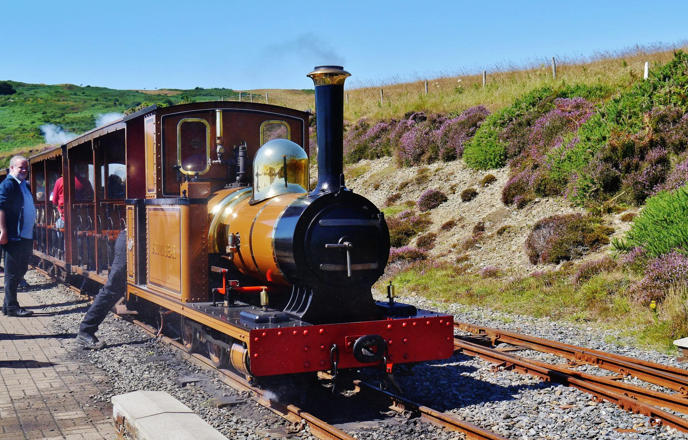 The small brown steam engine Brown Bear at Sea Lion Rocks station on the Groudle Glen Railway, with heather on the bank behind